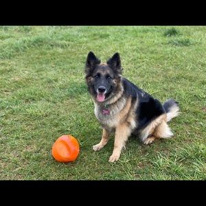 Meet your Posher, Erica